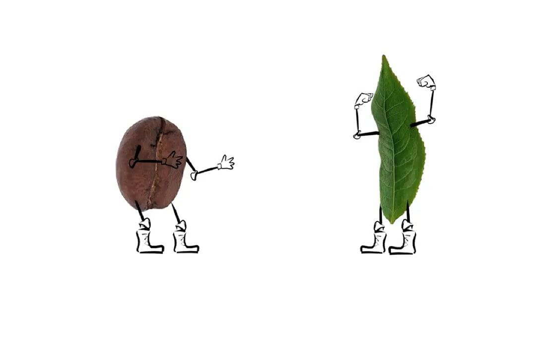Ногоон цайны эсрэг кофе