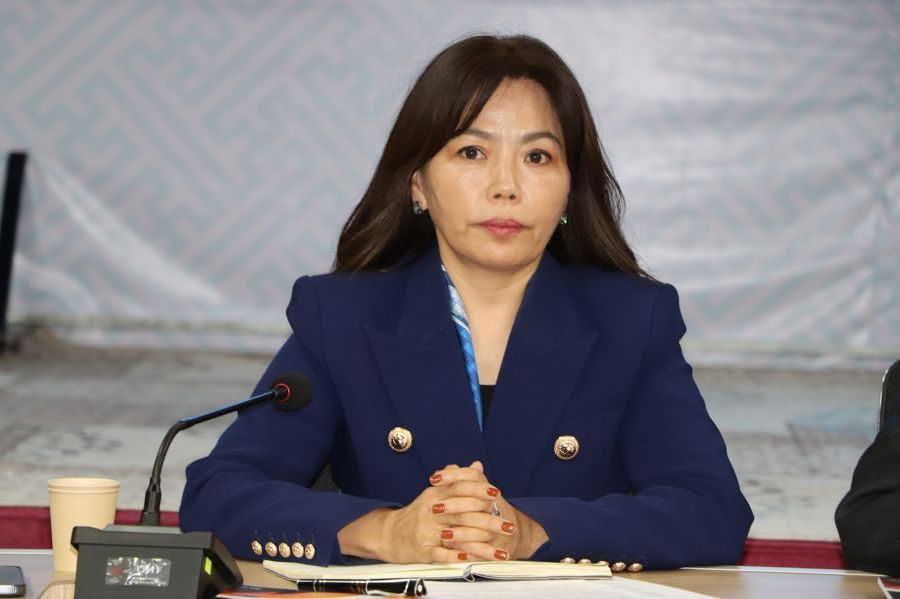 Судалгаа: Дөрвөн ахмад тутмын нэг нь гэр бүлийн хүчирхийлэлд өртөж, 60 гаруй хувь нь ганцаардлын асуудалтай байна