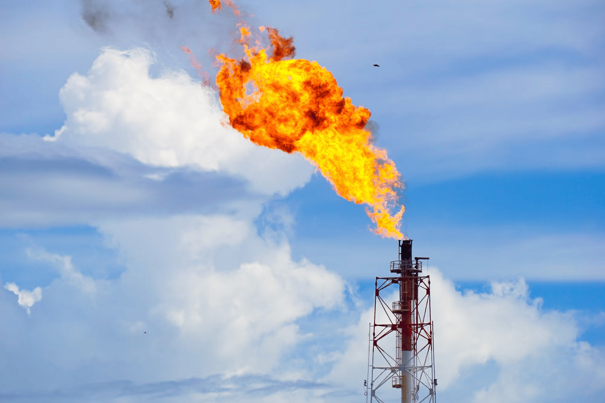 Монголын эрчим хүчний ирээдүйг түүчээлэгч TMK Energy