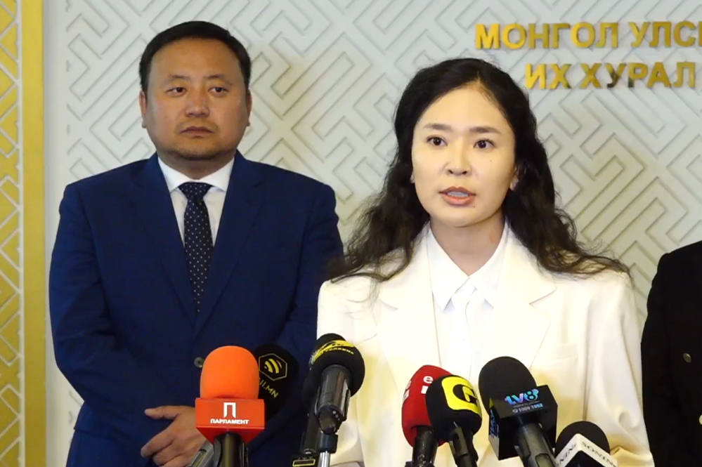 С.Цэнгүүн: Гишүүд санаачилсан хуулийн төслөө өөрсдөө унагасан нь харамсалтай