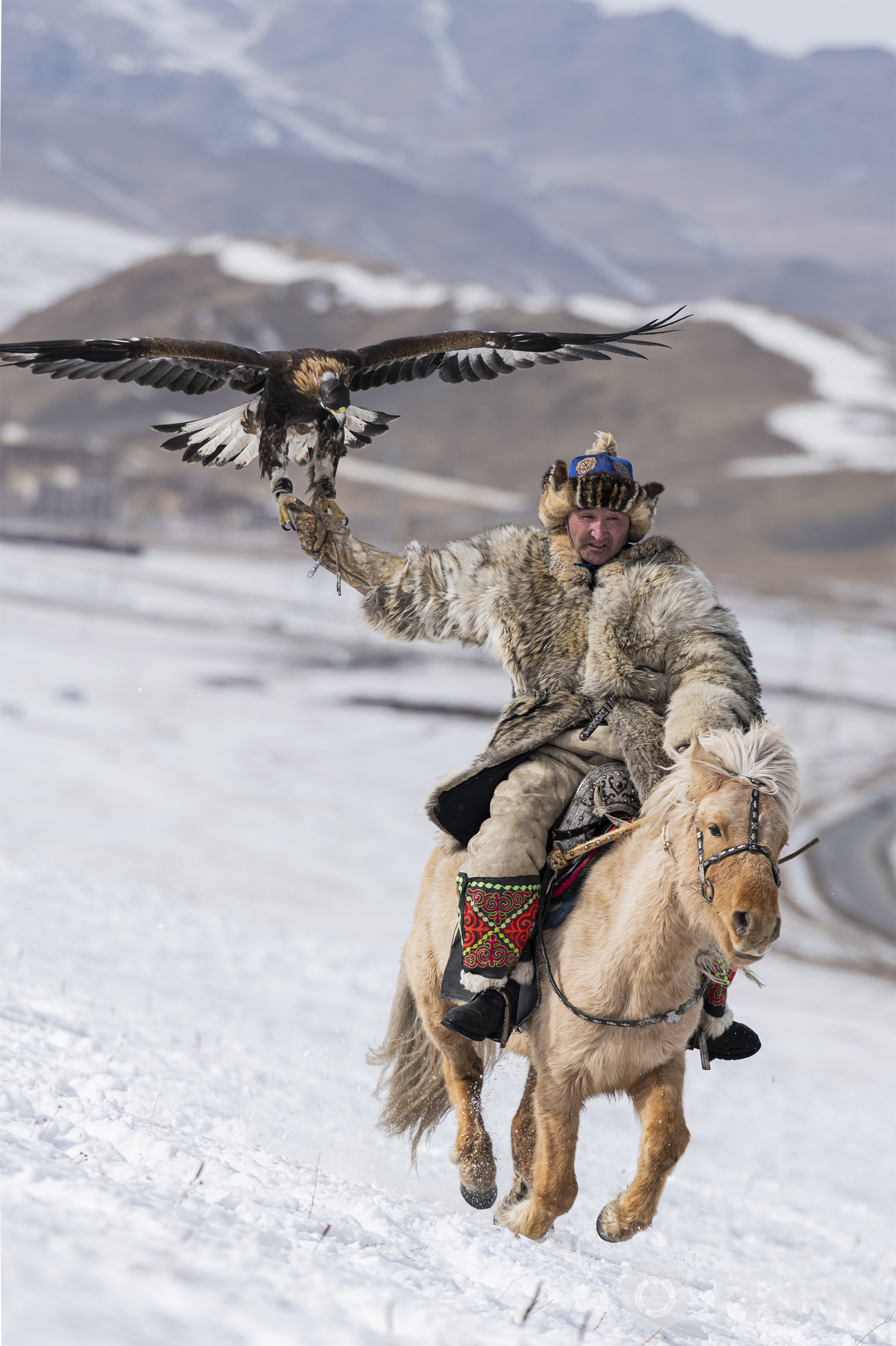 Сурвалжлага: Бүргэд гаршуулах Монголын соёл ба монгол хүний заавал мэдэх ёстой баримтууд