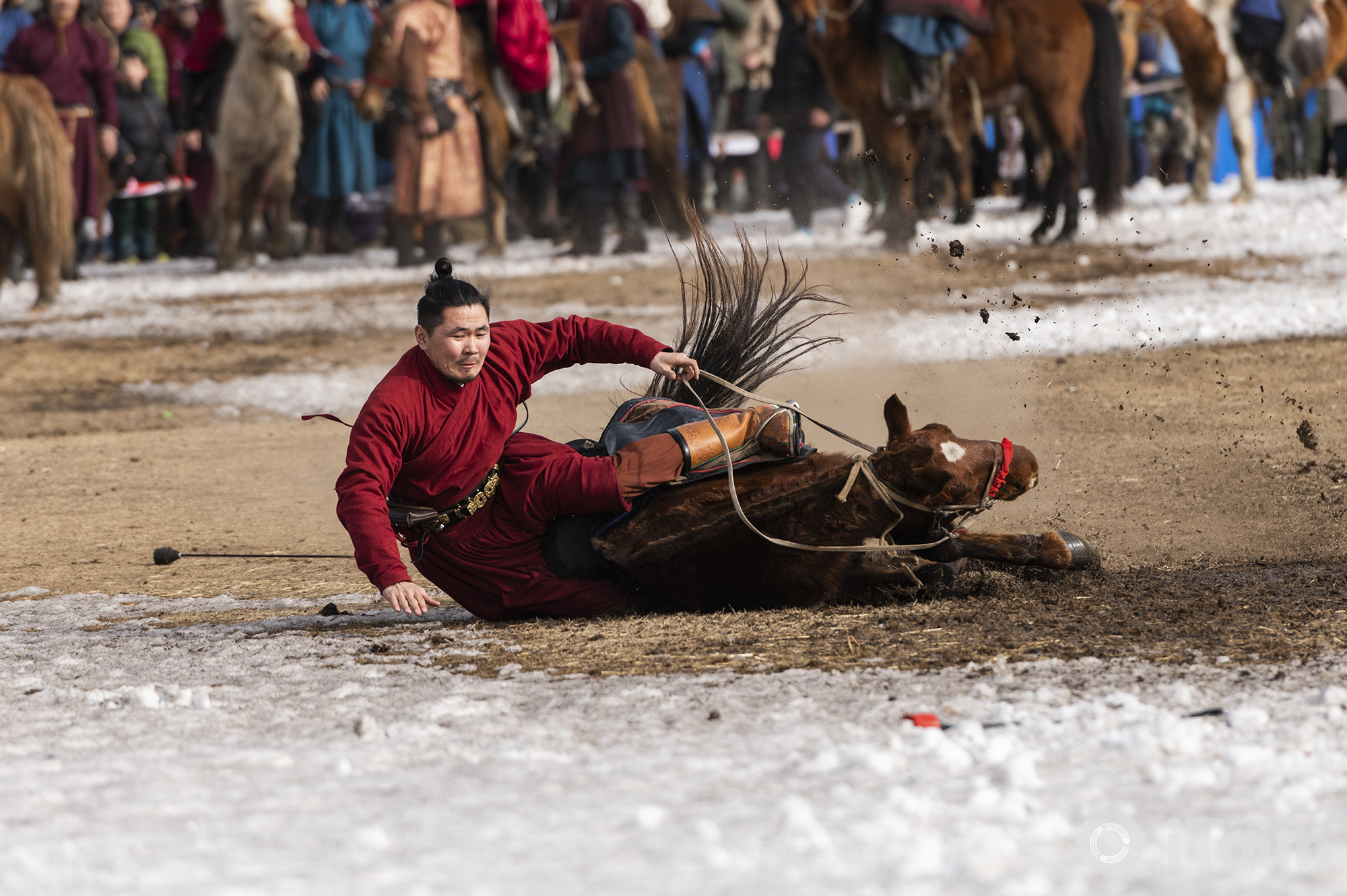 Сурвалжлага: Бүргэд гаршуулах Монголын соёл ба монгол хүний заавал мэдэх ёстой баримтууд